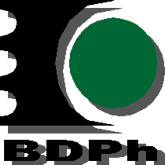 BDPI